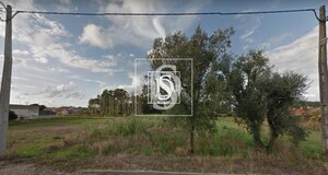 Terreno Rstico T0 - So Loureno do Bairro, Anadia, Aveiro - Miniatura: 1/3