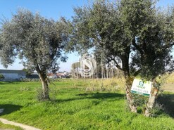 Terreno Rstico T0 - So Loureno do Bairro, Anadia, Aveiro - Miniatura: 2/3