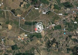 Terreno Rstico T0 - So Loureno do Bairro, Anadia, Aveiro - Miniatura: 3/3