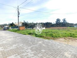 Terreno Rstico T0 - Arcos, Anadia, Aveiro - Miniatura: 4/8