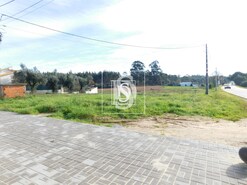 Terreno Rstico T0 - Arcos, Anadia, Aveiro - Miniatura: 5/8