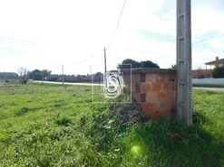 Terreno Rstico T0 - Arcos, Anadia, Aveiro - Miniatura: 6/8