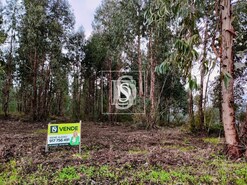 Terreno R�stico T0 - Bustos, Oliveira do Bairro, Aveiro - Miniatura: 3/3