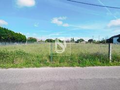 Terreno R�stico - Oi�, Oliveira do Bairro, Aveiro - Miniatura: 1/2