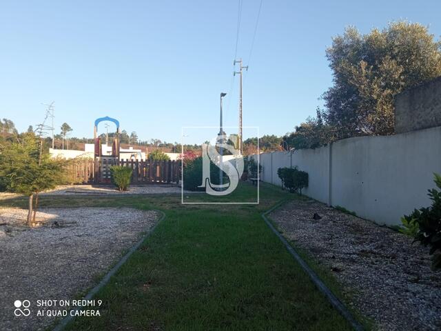 Terreno R�stico - Arcos, Anadia, Aveiro - Imagem grande
