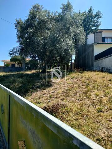 Terreno R�stico - Sangalhos, Anadia, Aveiro - Imagem grande