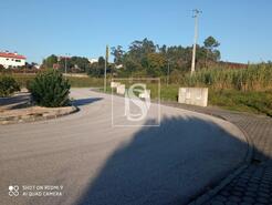 Terreno R�stico - Arcos, Anadia, Aveiro - Miniatura: 3/6