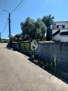 Terreno R�stico - Sangalhos, Anadia, Aveiro - Miniatura: 1/4