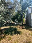 Terreno R�stico - Sangalhos, Anadia, Aveiro - Miniatura: 3/4