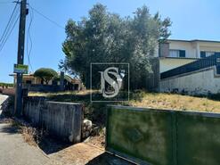 Terreno R�stico - Sangalhos, Anadia, Aveiro - Miniatura: 4/4