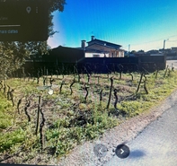 Terreno R�stico - Amoreira da G�ndara, Anadia, Aveiro - Miniatura: 1/3