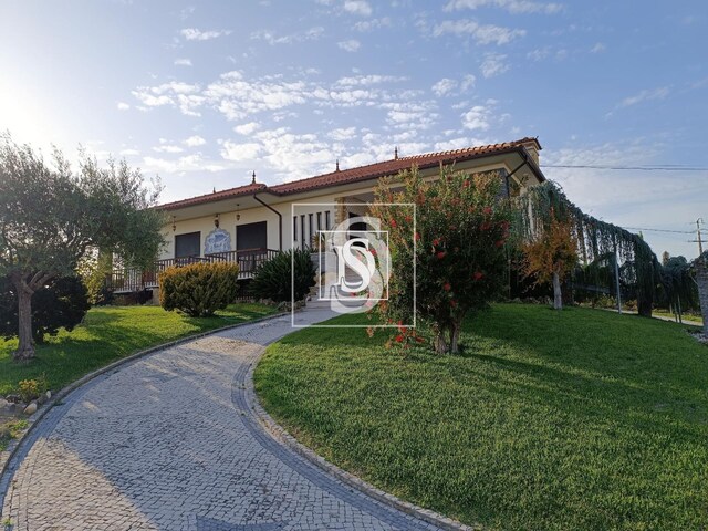 Moradia T3 - So Loureno do Bairro, Anadia, Aveiro - Imagem grande