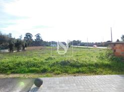 Terreno R�stico - Arcos, Anadia, Aveiro