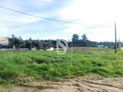 Terreno R�stico - Arcos, Anadia, Aveiro - Miniatura: 3/8
