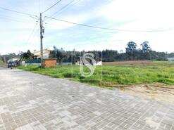 Terreno R�stico - Arcos, Anadia, Aveiro - Miniatura: 4/8