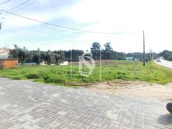 Terreno R�stico - Arcos, Anadia, Aveiro - Miniatura: 5/8