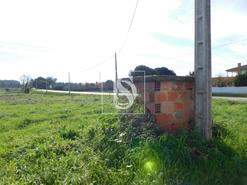 Terreno R�stico - Arcos, Anadia, Aveiro - Miniatura: 6/8
