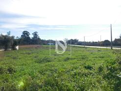 Terreno R�stico - Arcos, Anadia, Aveiro - Miniatura: 7/8