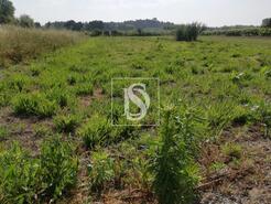 Terreno R�stico - Oi�, Oliveira do Bairro, Aveiro - Miniatura: 2/3
