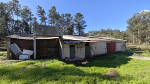 Armaz�m - Vilarinho do Bairro, Anadia, Aveiro - Miniatura: 8/19