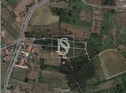 Terreno R�stico - Tamengos, Anadia, Aveiro