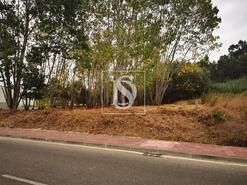 Terreno R�stico - Tamengos, Anadia, Aveiro - Miniatura: 3/3