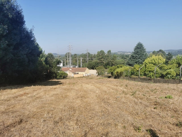 Terreno R�stico - Arcos, Anadia, Aveiro - Imagem grande