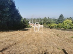 Terreno Rstico T0 - Arcos, Anadia, Aveiro - Miniatura: 4/12