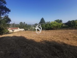 Terreno Rstico T0 - Arcos, Anadia, Aveiro - Miniatura: 7/12