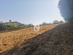 Terreno Rstico T0 - Arcos, Anadia, Aveiro - Miniatura: 8/12