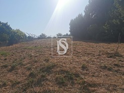 Terreno Rstico T0 - Arcos, Anadia, Aveiro - Miniatura: 10/12