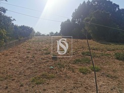 Terreno Rstico T0 - Arcos, Anadia, Aveiro - Miniatura: 11/12
