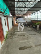 Moradia T3 - S�o Louren�o do Bairro, Anadia, Aveiro - Miniatura: 35/39