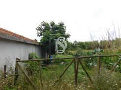 Moradia T2 - Arcos, Anadia, Aveiro - Miniatura: 3/30
