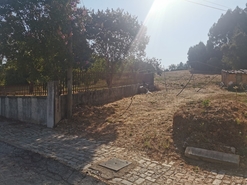 Terreno R�stico - Arcos, Anadia, Aveiro - Miniatura: 1/12