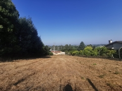 Terreno R�stico - Arcos, Anadia, Aveiro - Miniatura: 2/12