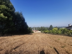 Terreno R�stico - Arcos, Anadia, Aveiro - Miniatura: 3/12