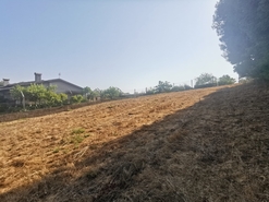 Terreno R�stico - Arcos, Anadia, Aveiro - Miniatura: 4/12