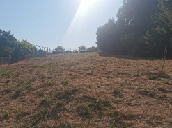 Terreno R�stico - Arcos, Anadia, Aveiro - Miniatura: 7/12