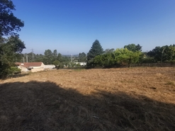 Terreno R�stico - Arcos, Anadia, Aveiro - Miniatura: 8/12