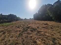 Terreno R�stico - Arcos, Anadia, Aveiro - Miniatura: 10/12