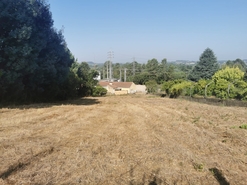 Terreno R�stico - Arcos, Anadia, Aveiro - Miniatura: 11/12