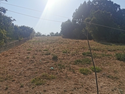 Terreno R�stico - Arcos, Anadia, Aveiro - Miniatura: 12/12