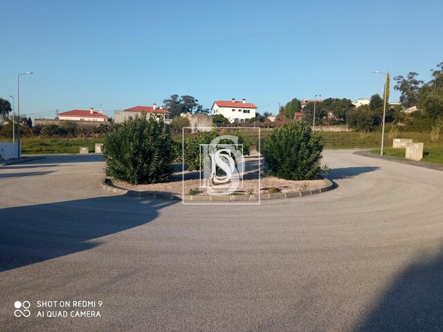 Terreno Rústico T0 - Arcos, Anadia, Aveiro - Imagem grande