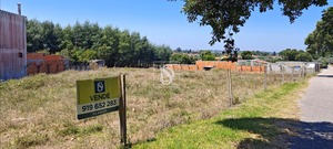 Terreno Rstico T0 - Arcos, Anadia, Aveiro - Miniatura: 5/15