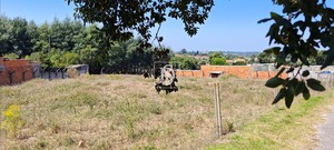 Terreno Rstico T0 - Arcos, Anadia, Aveiro - Miniatura: 6/15