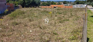 Terreno Rstico T0 - Arcos, Anadia, Aveiro - Miniatura: 7/15