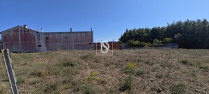 Terreno Rstico T0 - Arcos, Anadia, Aveiro - Miniatura: 9/15