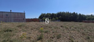 Terreno Rstico T0 - Arcos, Anadia, Aveiro - Miniatura: 11/15