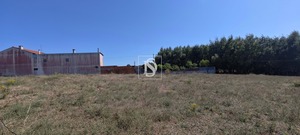 Terreno Rstico T0 - Arcos, Anadia, Aveiro - Miniatura: 12/15